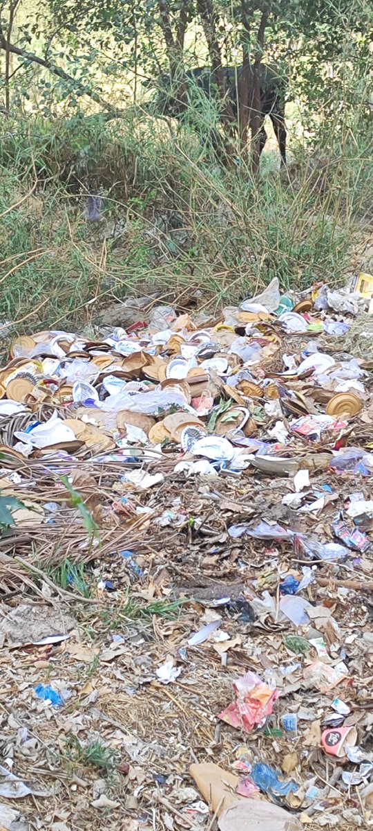 ActivistSukhpal's tweet image. Dear @noida_authority 
Kindly have this area cleaned. Opp: Antriksh Forest,Sec 77, Main Gate. Thanks 
@CeoNoida