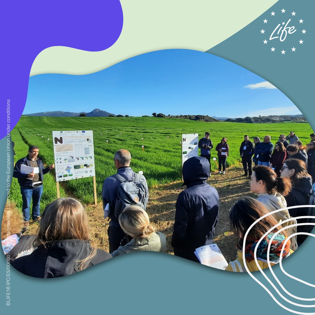 Healthy #Soils🌱, healthy world🌍 The recent LIFE Platform Meeting on Soils in Spain gathered 50 #LIFEProjects working on protecting our land & combating #ClimateChange🔥 📰Read our latest article & learn more: europa.eu/!wknxkm