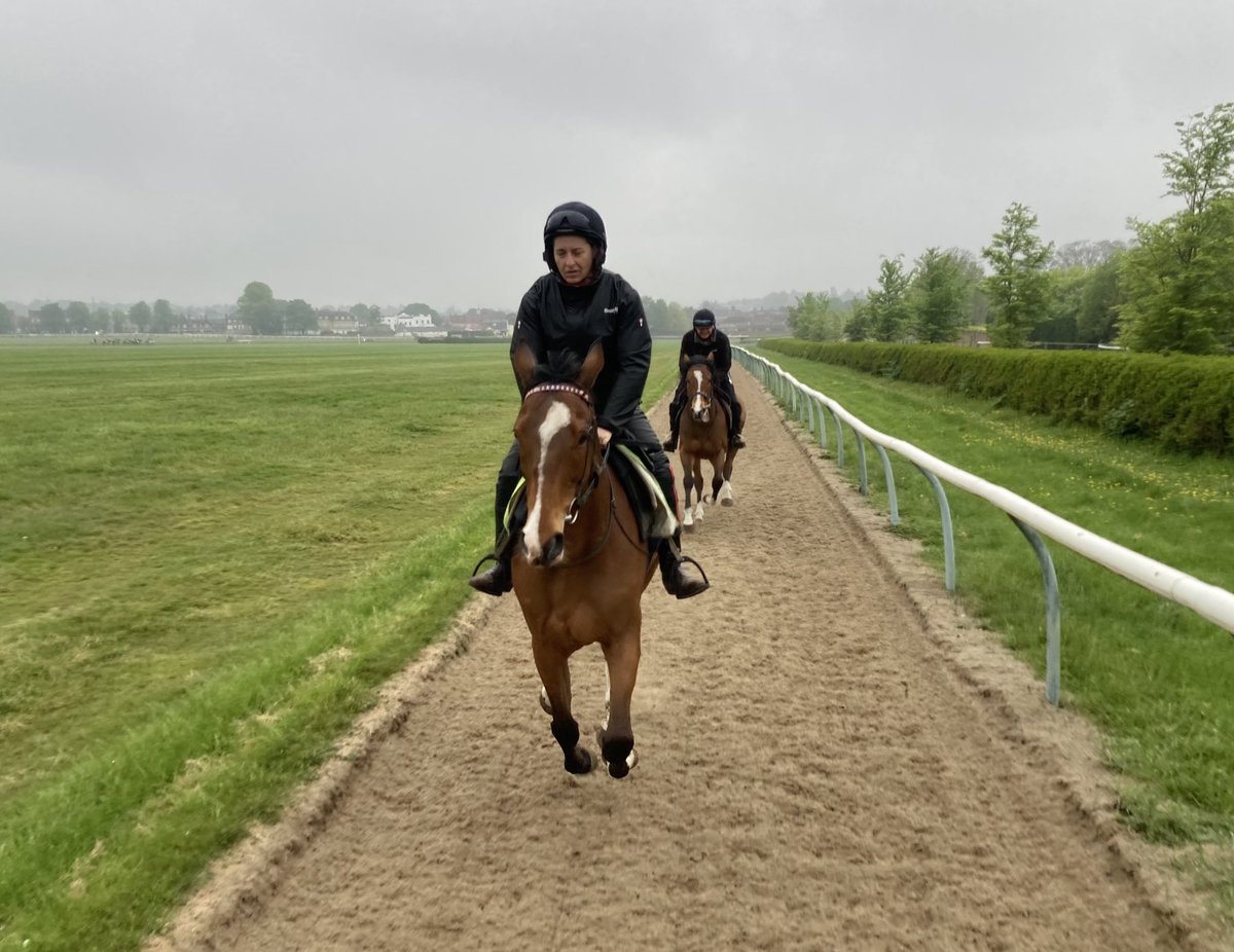 A grey, damp morning @NewmarketGallop but the rain so far has only been intermittent and very light. I suspect there may be more of it later #Merrijig #Duchess #Hiccups #DasKapital #Dereham