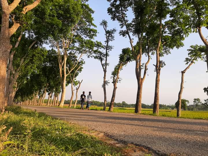 বন্ধুত্ব হচ্ছে বৃক্ষের মতো, যা সব সময় খুব পাশে অবস্থান করে। কেটে ফেলা ছাড়া একজন আরেকজন থেকে দূরে সরানো যায় না।।।