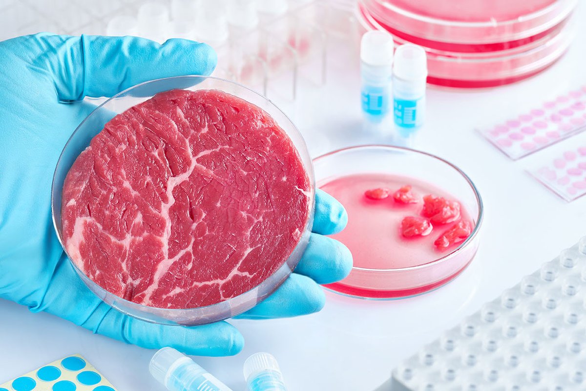 🇺🇸 ABD'nin Florida eyalet Valisi Ron DeSantis laboratuvarda geliştirilen suni etin satışını yasakladı.
