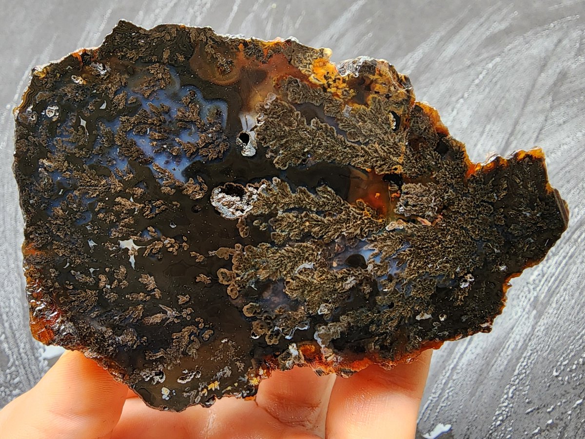 Black Beauty - Plume Agate
#blackbeauty #agate #achate #agate #rocks #Collectibles #collection #mossagate #plumeagate #crystals #agatecollection #art #naturalart #naturehistory #geology #geologyrock #etsystore #photographer #rockphotographer