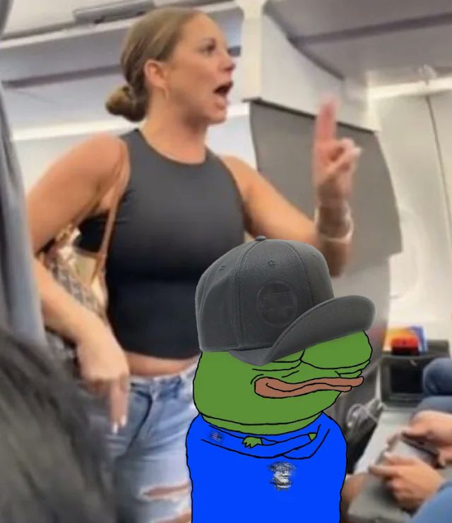 Airplane lady defending mi from non-frens 😁 $Apu