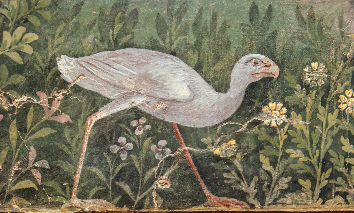 From the House of the Golden Bracelet in Pompeii ~ remarkably well-observed frescoes of doves drinking at a golden bowl / and a purple gallinule striding through a garden landscape (photos; Oleg Belaychuk) ancientrome.ru/art/artworken/…