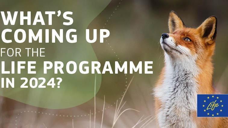 Ambiente, da Life 571 milioni di euro - ItaliaOggi.it italiaoggi.it/news/ambiente-…