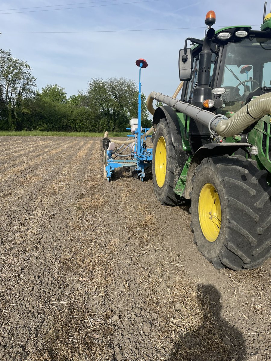 Hmstr_kmbts's tweet photo. 7 mois ont passé, il est temps de changé de couverture du sol. #corn2024 #A2CS @orthman @cet_epi_mepate https://t.co/x6zBfBM9yR
