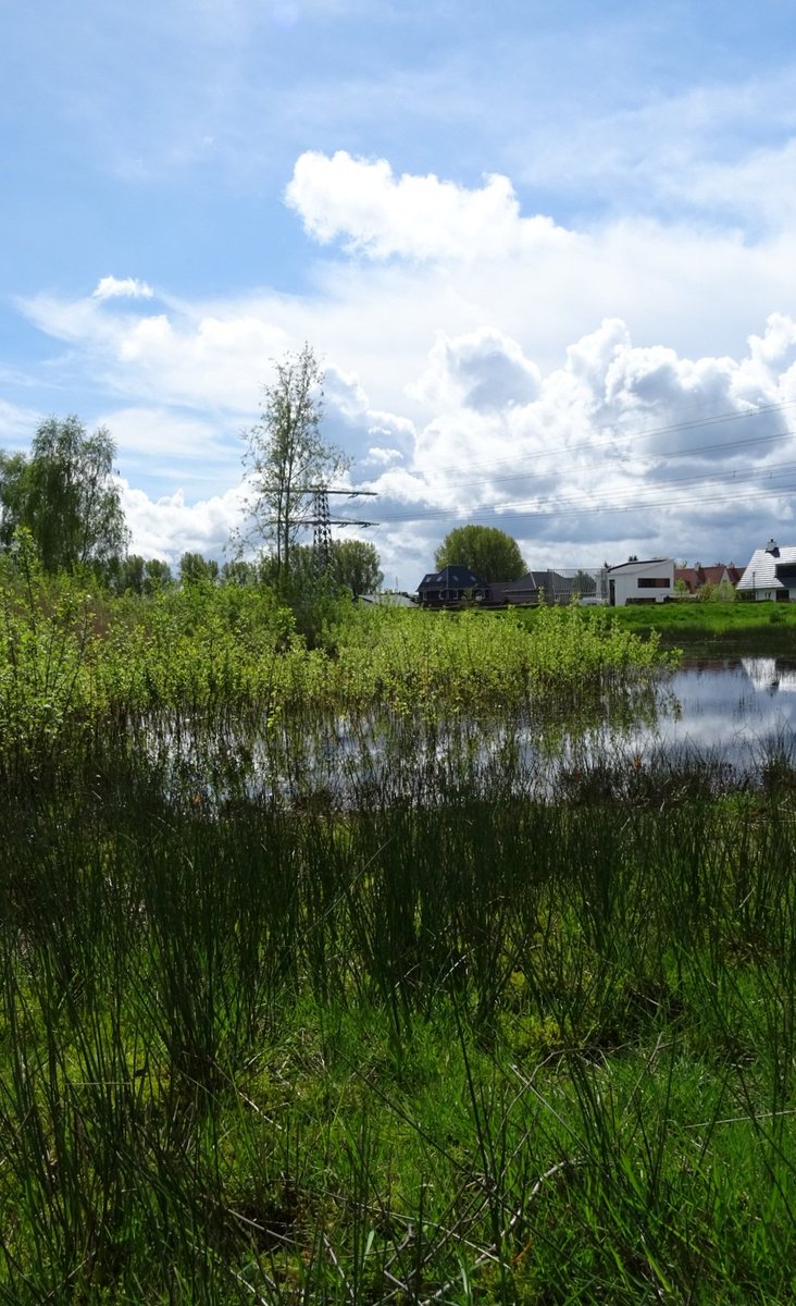 Goedemorgen #landschapsfoto in #mei_nmooistefotos @bosw8er_jochem Vanmorgen komt er iemand van het bouwbedrijf alles doorspreken voor de renovatie..tot later..🤗 Fijne dag allemaal ☘️🌱🌾