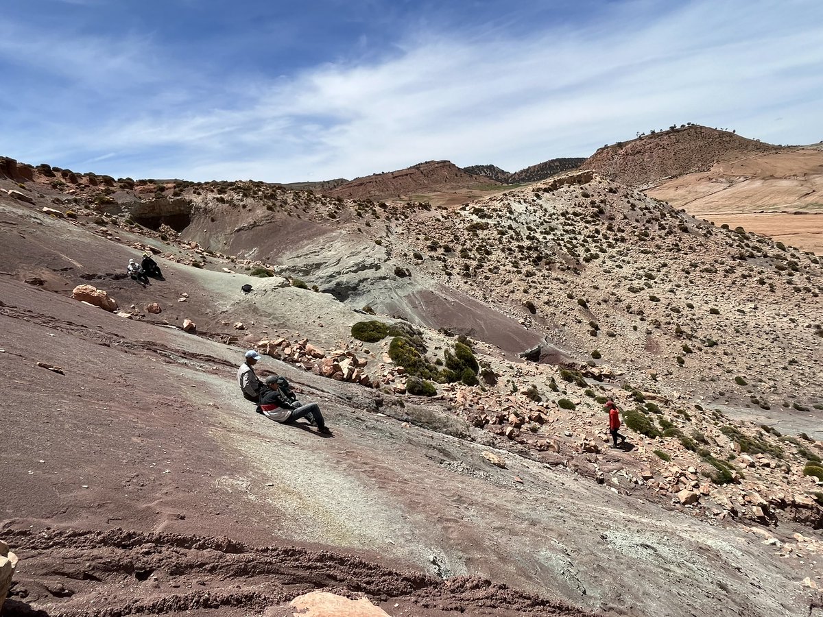 Gorgeous first day in the Middle Atlas mountains of Morocco with @Tweetisaurus @kawtar_ech, Driss & Khadija, getting the lay of the beautiful land, searching for Middle Jurassic microvertebrate sites & occasionally getting stuck up very high & slippery slopes. Bring on day 2!