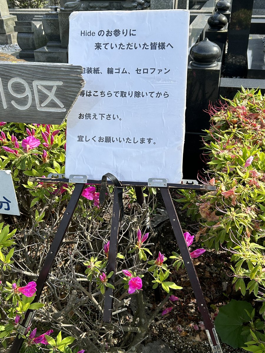 hide_19641988's tweet photo. 三浦花園が無くなってて、会いに来る前に泣きそうになった https://t.co/YyjdH3Eg0Q