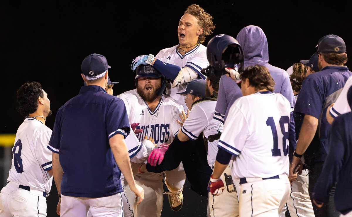 Concordia Bulldogs tweet media