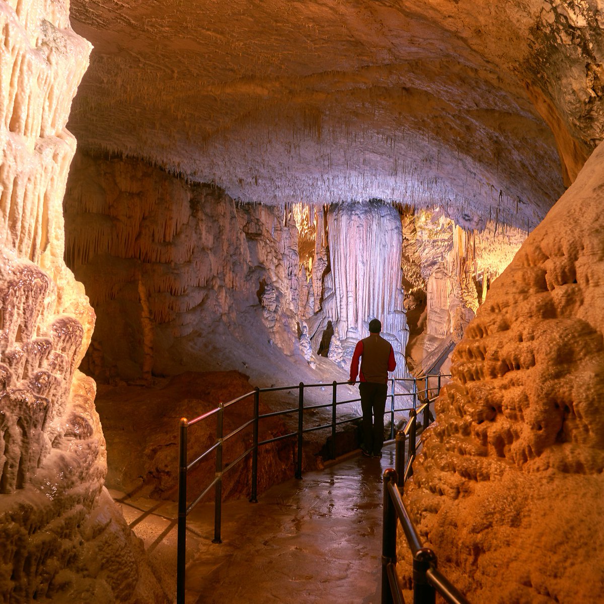 Let's not let a few raindrops ruin our day💧
Instead, let's dive into the spectacular beauty of the Postojnska jama Cave-Grotte-Höhle🏞 

#ifeelsLOVEnia #postojnacave #mojaslovenija #sloveniaculture 

📸 Iztok Medja, slovenia.info