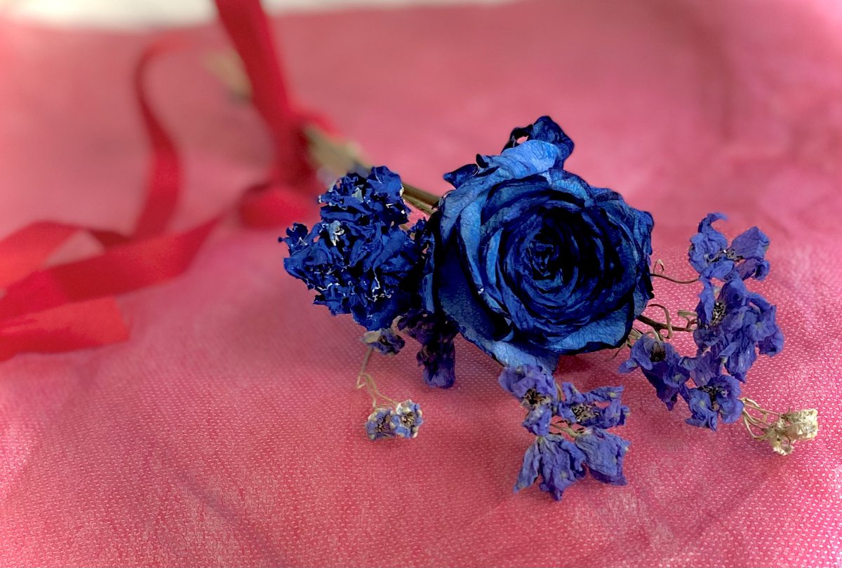 先日イベントでいただいたお花。
青い方はキレイなドライにできました😊
思い出を少し。保存✨

#ジリオン対ボーグマン