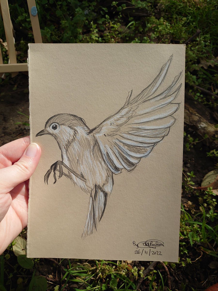Soaring Sparrow: A5 Pencil Drawing, mixed media, bird lovers

Now available on RoseAndAliceArts:

roseandalicearts.etsy.com/listing/171081…

#MHHSBD #artist #birds #EarlyBiz
