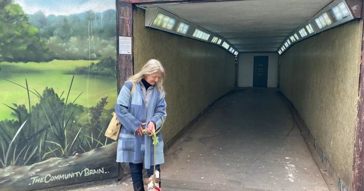 Get Surrey:  Beloved A3 roundabout mural 'wiped off overnight' in act of 'cultural vandalism' dlvr.it/T6Lnjm