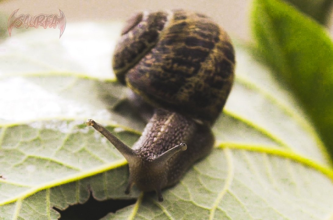 SaurFang15off's tweet image. Quinta foto (creo) casi se me olvida, de nuevo

"Paso lento es paso seguro, pero lo seguro a mi me parece aburrido"