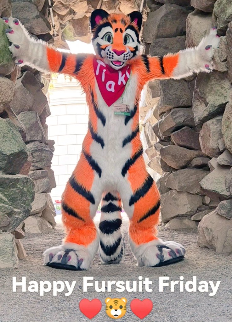 Happy Fursuit Friday to all of you ♥️♥️♥️♥️♥️
#tiaki #tiger #tiakitiger #betelgeuse #FursuitFriday #furry #furries #fursuiting