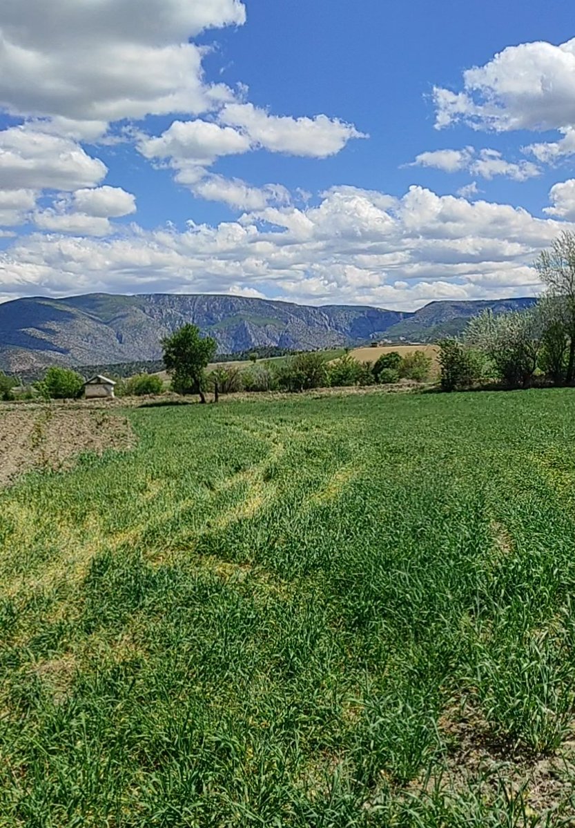 İçimizde 'beklemek köşesi' var, her kapı tıkırtısında umutlanan