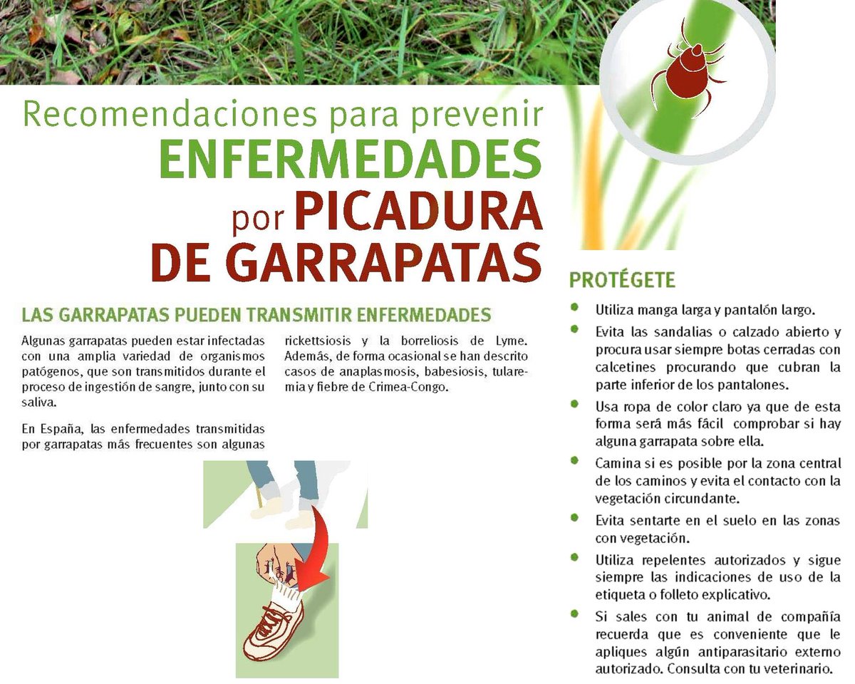 GARRAPATAS - PREVENCIÓN DE PICADURAS 

👉 Las garrapatas vuelven a hacer su aparición. 
👉 Pueden transmitir enfermedades graves.
👉 Protégete. 
Más información en: mapa.gob.es/es/ganaderia/t…