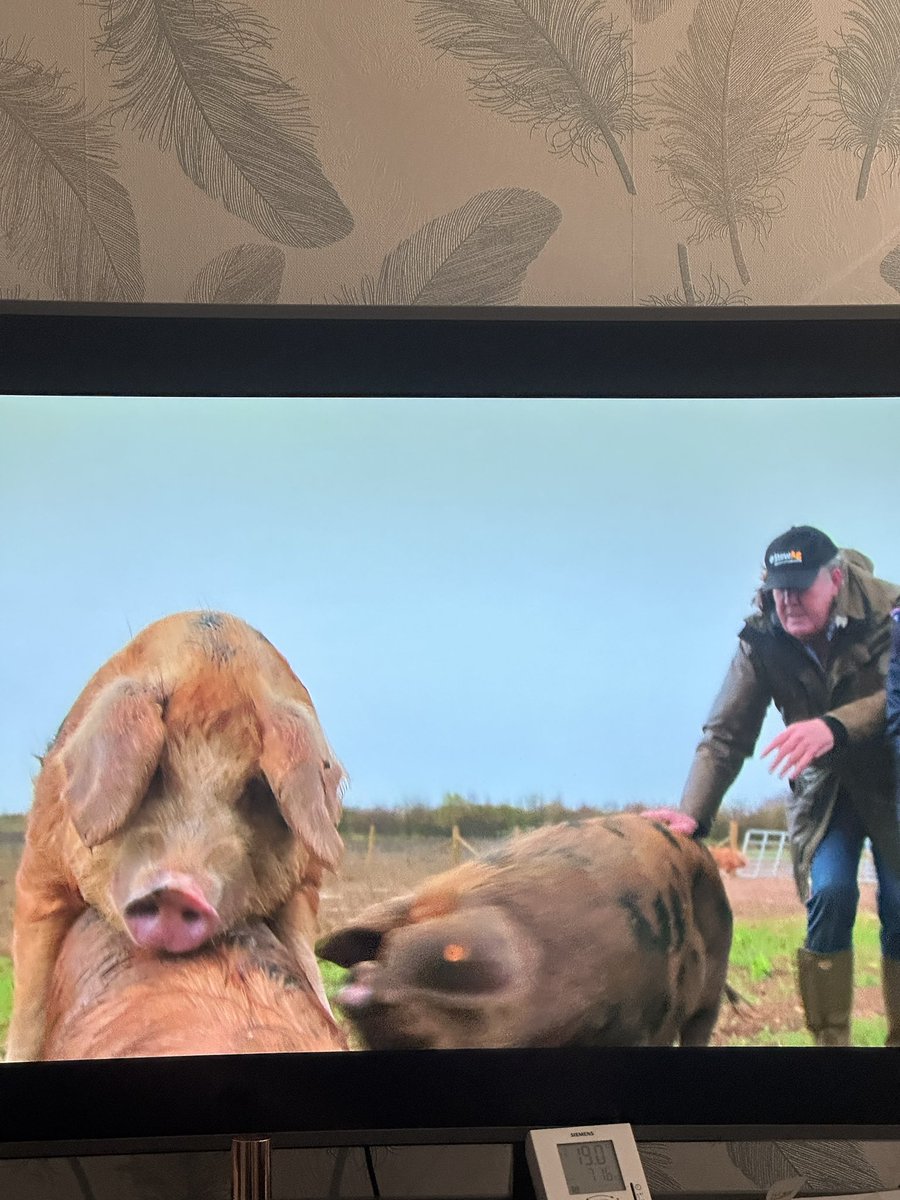 You don’t see this on Countryfile!!!
#ClarksonsFarm Season 3 episode 2, one of the funniest segments of TV I’ve ever watched 😂
Fantastic to have it back @JeremyClarkson