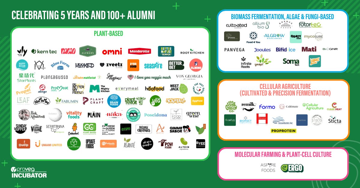 Excited to showcase our #ProVeg100Startups! 🌱 Meet the innovators tackling food-system challenges head-on. 🚀Startups in our alumni community span sub-sectors that include plant-based, biomass fermentation, cellular agriculture, and more.

Report: bit.ly/4a2Q3sC