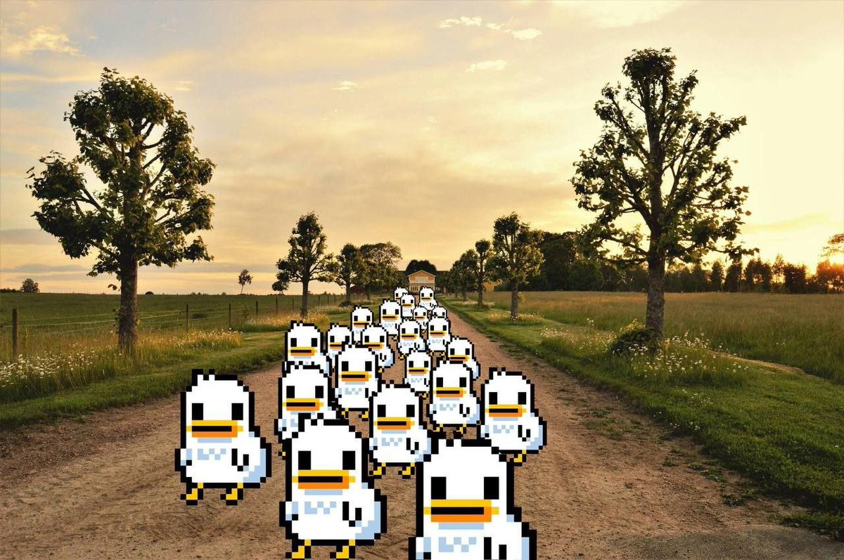 @AltcoinGordon It's because u didn't ride with the $DUCKS, what a solid community we are, become a dumb duck today! @DumbDumbDucks