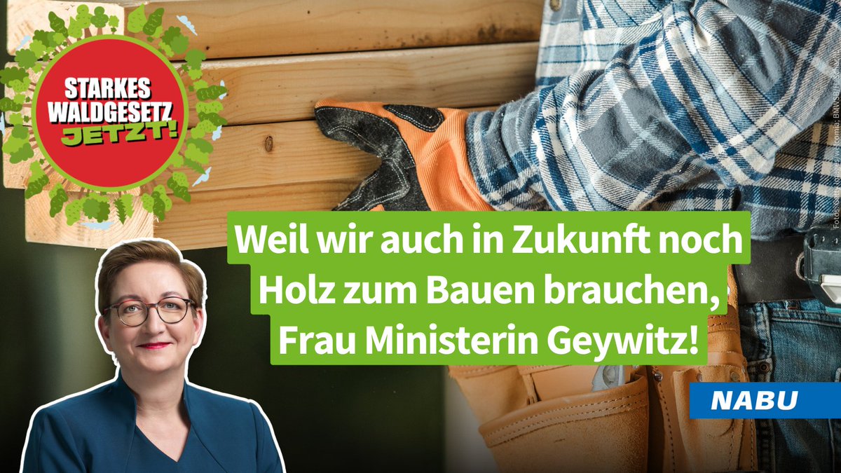 🌳 Bauen mit Holz kann eine soziale & ökologische Bauwende tragen – oder die Wirtschaftsgrundlage Wald durch unregulierte Übernutzung unterspülen. @klara_geywitz, setzen Sie sich für ein zeitgemäßes #Waldgesetz ein – so wie die Genoss*innen vor 14 Jahren? spdfraktion.de/themen/bundesw…