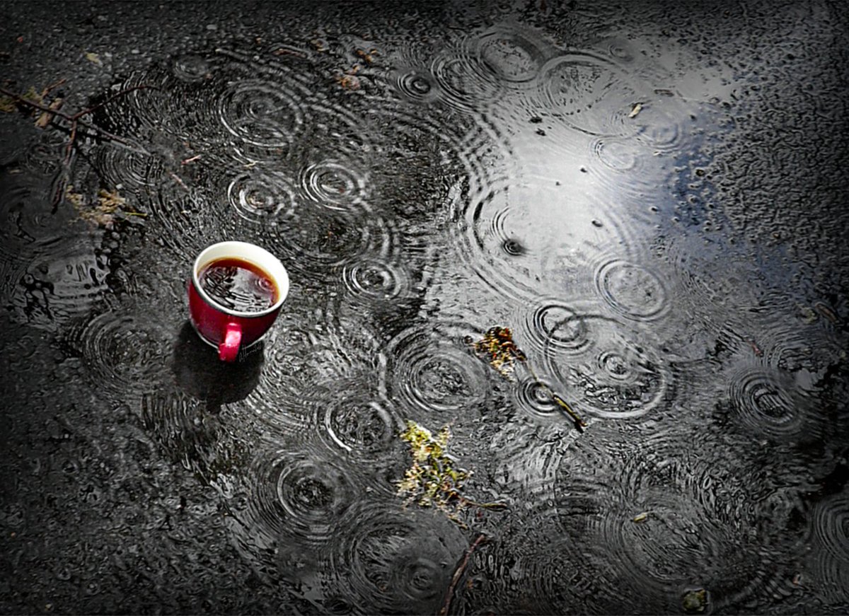 @TheTiny_Earth Coffee In The Rain On Blacktop Pond