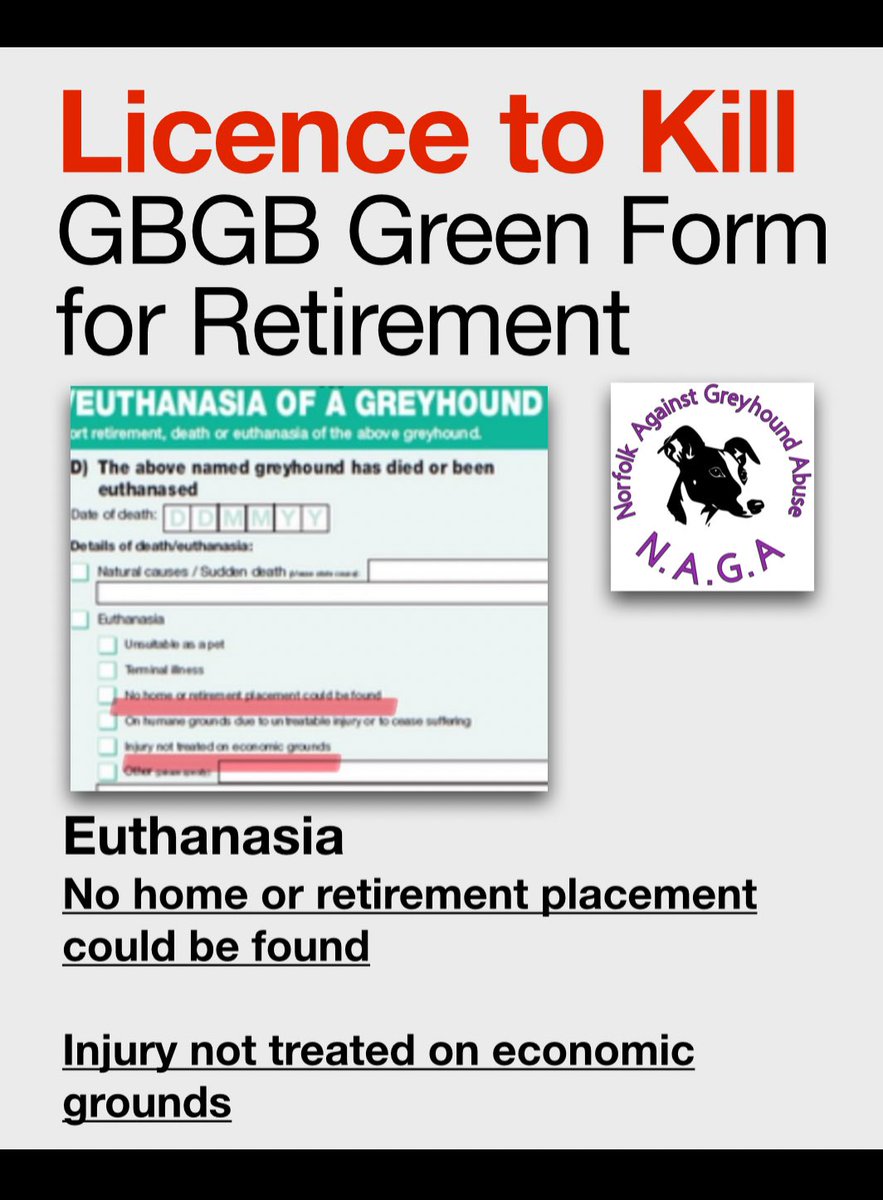 GBGB’s Green Retirement Form gives GREEN light to Greyhound Trainers/Owners to have greyhounds KILLED.
#AnimalCruelty #defra #efra #cutthechase #bangreyhoundracing #youbettheydie #unboundthehound