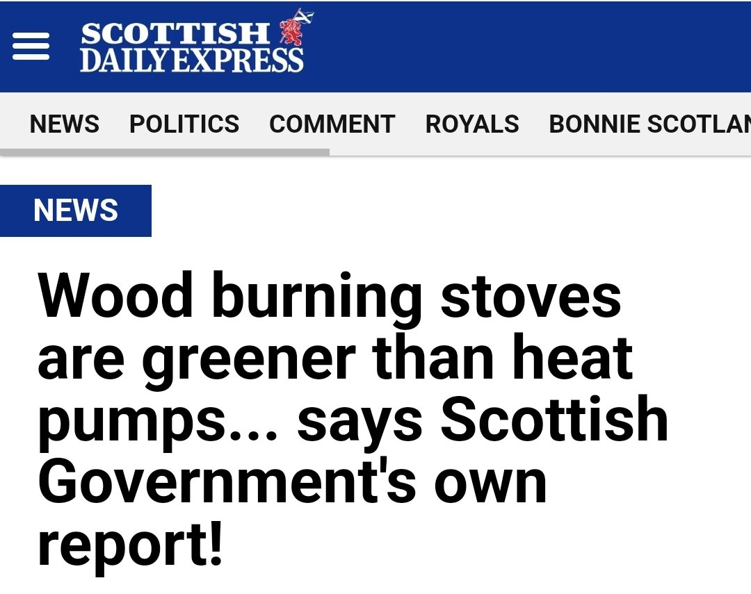 A report published in 2021 shows that burning 'local logs' generates just 4 grams of CO2 per kilowatt hour – compared to 48g/kWh for wind energy and 123g/kWh for ground source heat pumps.