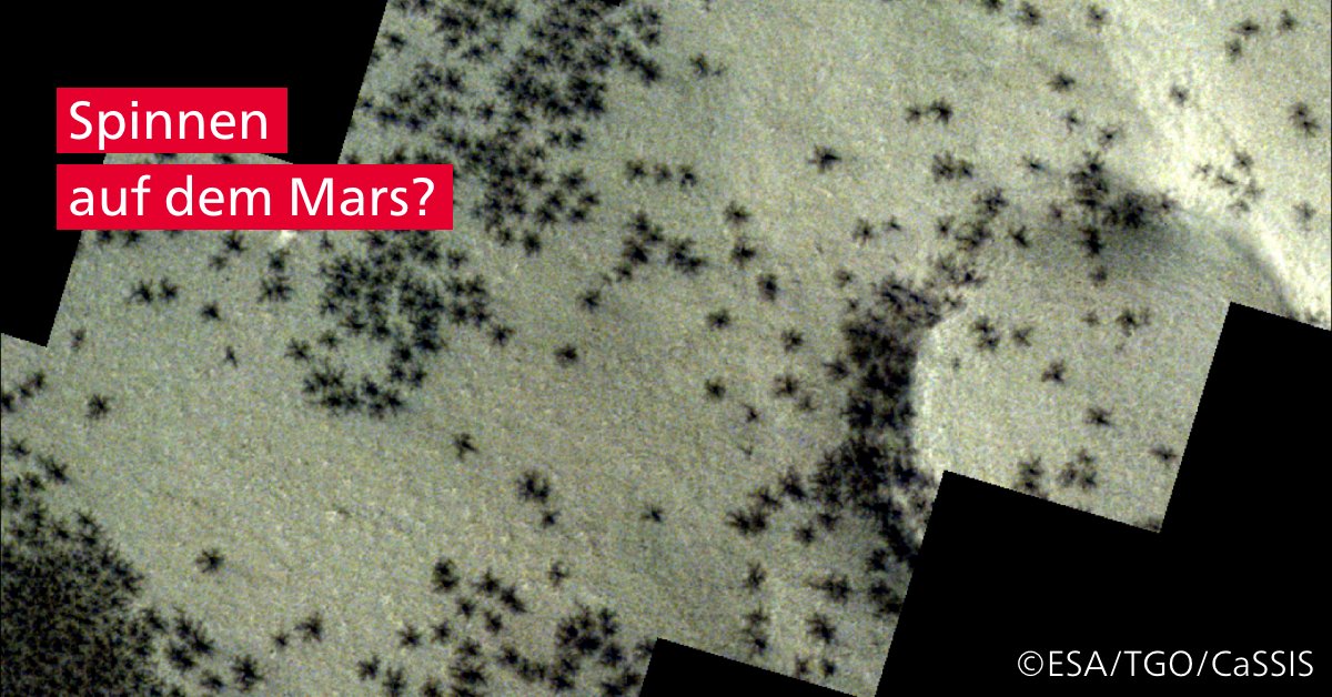 Nein, das Bild der Berner #Mars-Kamera @ExoMars_CaSSIS zeigt keine Insekten, sondern ein natürliches Phänomen! 💡Wie diese Muster entstehen, erklärt Nicolas Thomas, Professor für Experimentalphysik #unibern, bei @srfnews: sohub.io/39oy #ExoMars @ESA_de @ESA_TGO