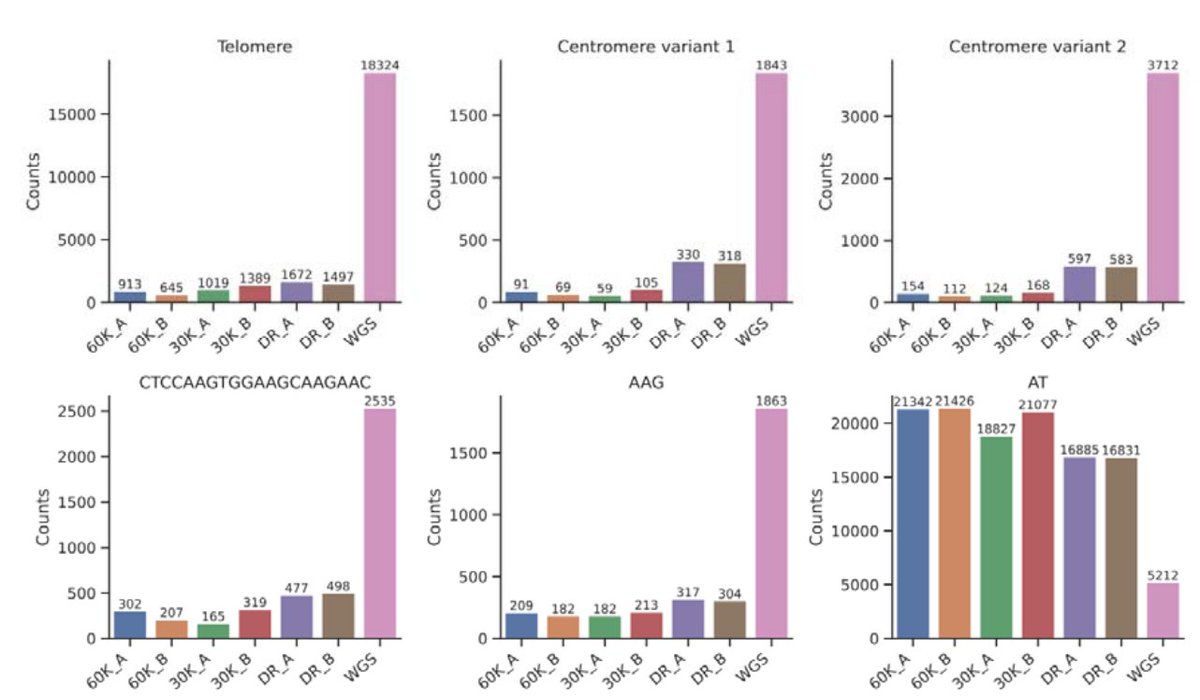 A sneak peek to Robert Kesälahti's results on using species-specific (Scots pine, 22 Gbp genome) c0t-1 DNA (60 000 and 30 000 ng) instead of Developer Reagent (DR) as a blocker in exome capture. Significant reduction in e.g., amount of centromere repeats in the sequence data!