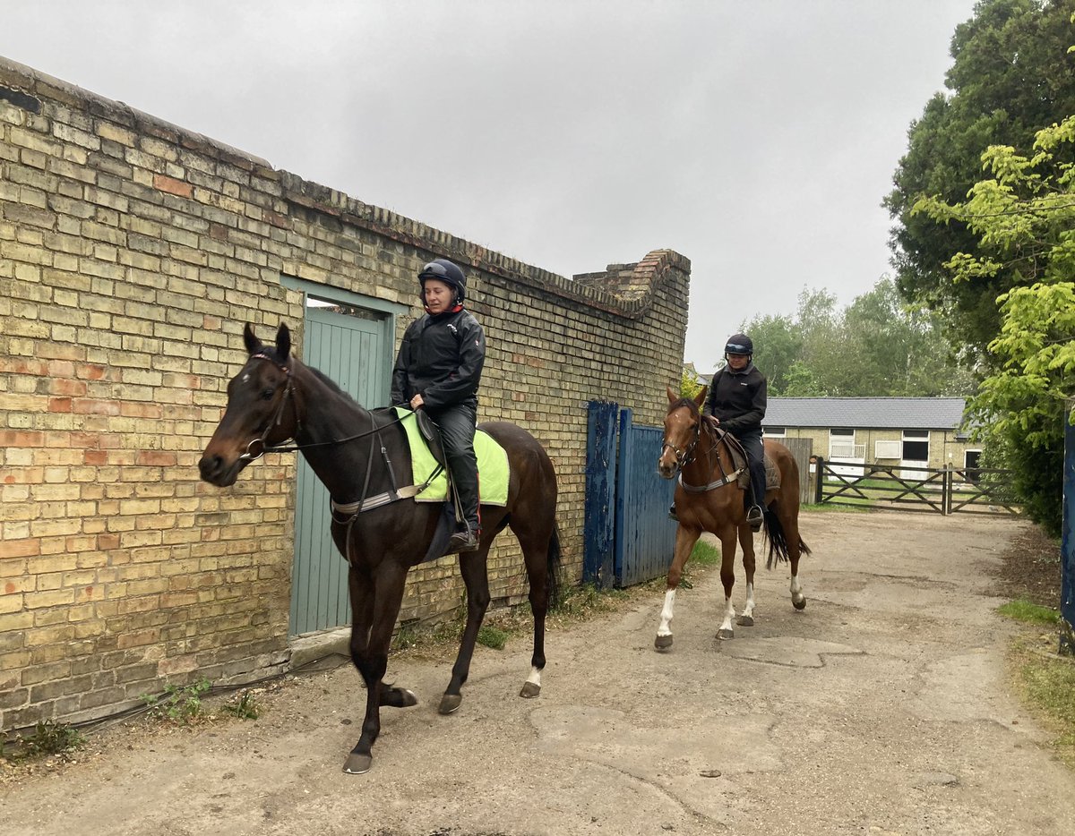We’ve lost the lovely weather of earlier in the week. Just starting to spit with rain in Newmarket now. Looks like it could rain on & off through the day. Currently 10 degrees, forecast high 13 #Hiccups (@JTrnakova) #Duchess (Ivona Slachtova)