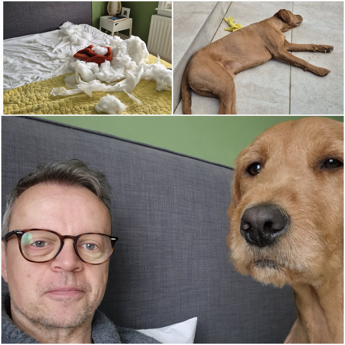 BLOCKCHAIN RECLAIM 🏆🏅 tweet media