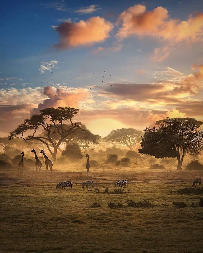 African sunset, Zimbabwe