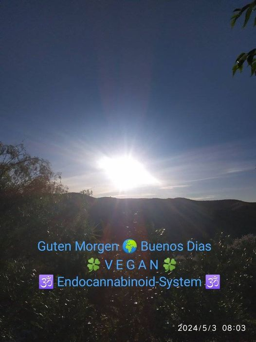 🕉🌍♾️🙏🏽

Dankbarkeit

Wahre Liebe kennt keine Angst, sondern nur Vertrauen, es lässt uns wachsen und gemeinsam fliegen.

👣 Vegan 🕉 Endocannabinoid-System 🕉