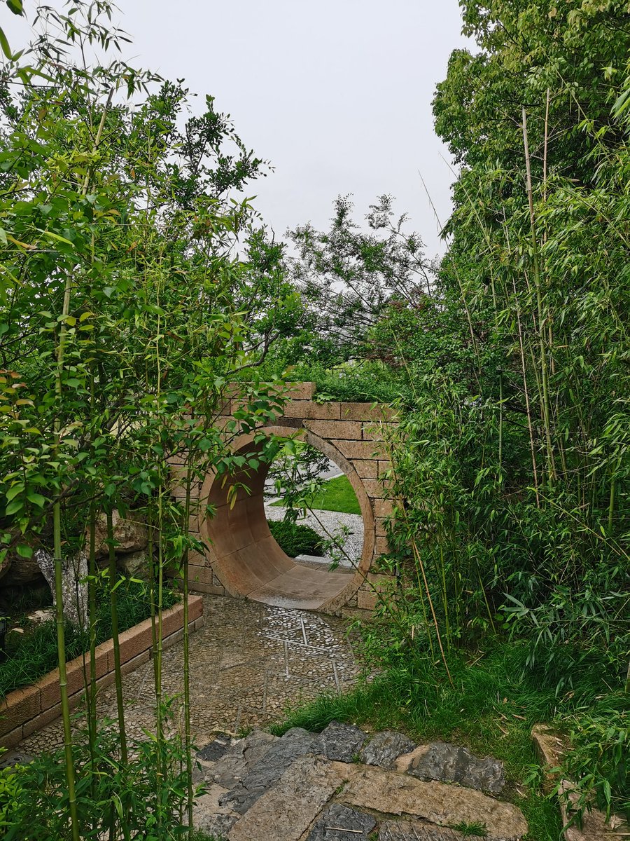 In modern times, it has experienced urban expansion, land reclamation, lake siltation and water pollution..
But in recent years, with the country's emphasis on environmental pollution, Xuehu Lake has been renovated.
It rained today, and there were a lot of wild ducks on the lake.