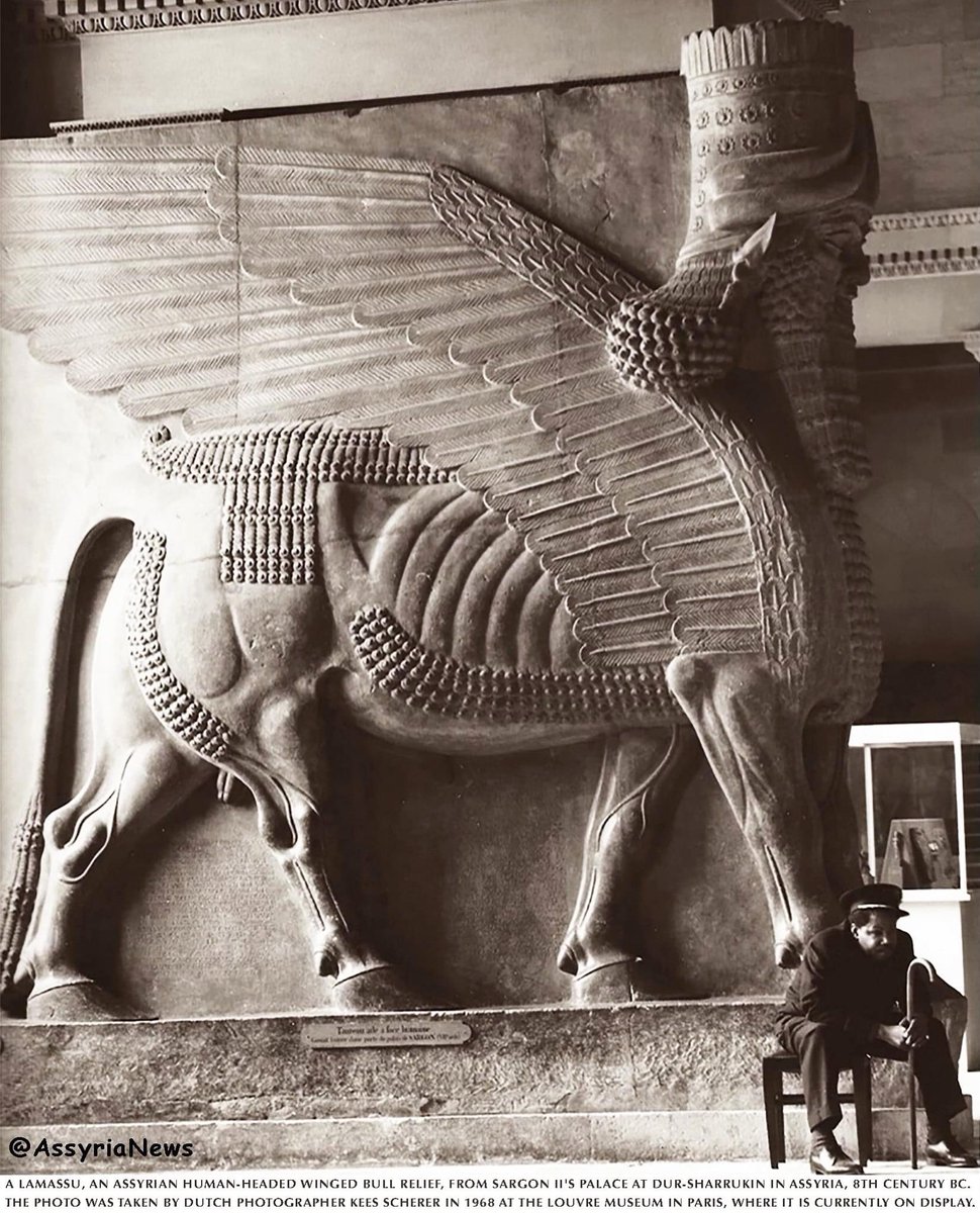 A #lamassu, an #Assyrian human-headed #wingedbull relief, from Sargon II's palace at #DurSharrukin in #Assyria, 8th century BC. The photo was taken by Dutch photographer #KeesScherer in 1968 at the #LouvreMuseum in #Paris.

#history #art #ancienthistory #archaeology #assyrianews