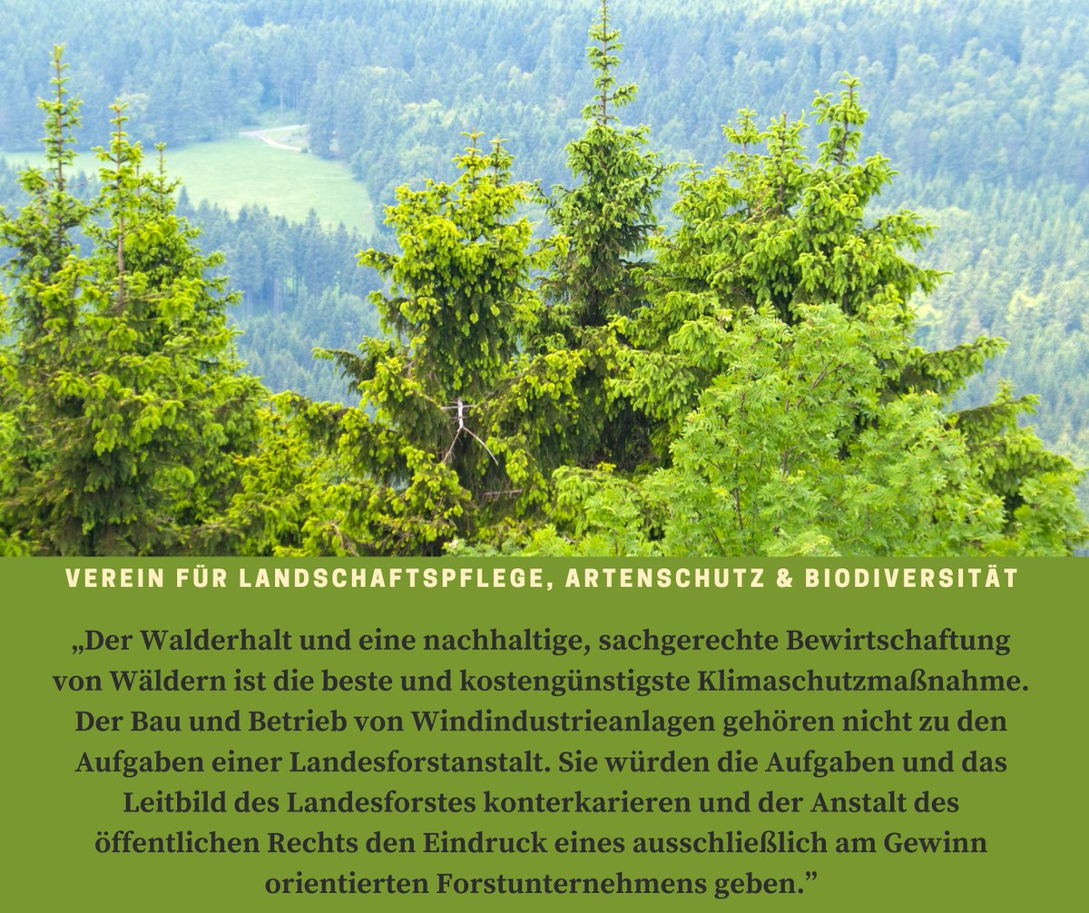 In einer schriftlichen Anhörung begrüßten wir die Gesetzesänderung der Thüringer CDU: Landesforstanstalt soll nicht für Windkraft zuständig sein. Keine Nutzung von Staatswald für Windanlagen. #Thüringen #Windkraft #CDU