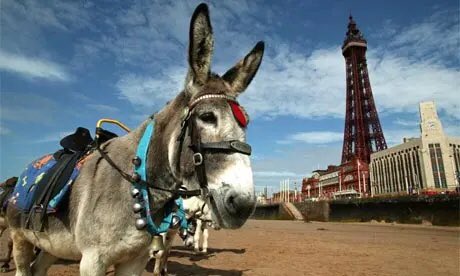 Lyn Cunningham (@lyn_cunningham) on Twitter photo Crisis in #Blackpool this morning. They seem to have lost some asses. If you see any stray asses, please contact the <a href="/Conservatives/">Conservatives</a> who are well trained in looking after them. <a href="/UKLabour/">The Labour Party</a> #LocalElection #LocalElections2024 #LocalElections Crisis in #Blackpool this morning. They seem to have lost some asses. If you see any stray asses, please contact the <a href="/Conservatives/">Conservatives</a> who are well trained in looking after them. <a href="/UKLabour/">The Labour Party</a> #LocalElection #LocalElections2024 #LocalElections