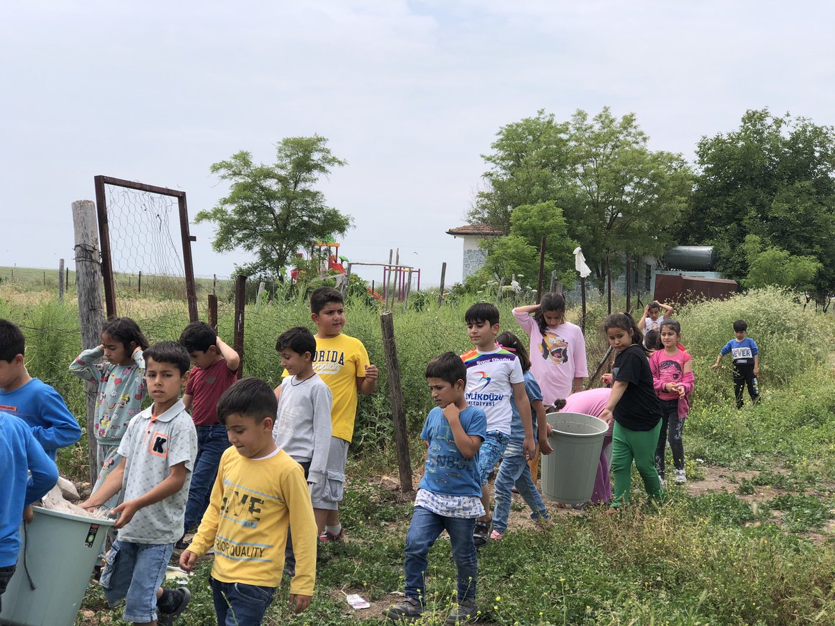 DenktasDerik's tweet photo. Çocuklarimizla ormana sahip çikmak, ağaçlarimizi korumak, yeşil alana sahip çikmak amaciyla çevre temizliğimizi yaptik. 
#OrmanBenim
#YeşiliKoru
@derikmem47 @MstfaKAHRAMAN @mardinilmem @SuleymnAKIN @DerikKaymakam https://t.co/HEiGDZl4Sj