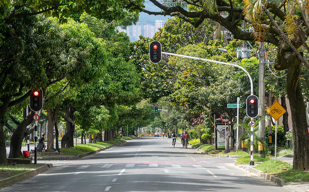 As you experience a heatwave, India, planting trees are the most effective way to cool a city. Medellin, Colombia planted 880000 trees in green corridors alongside sidewalks & canals, to circulate cool air. Reduced heat, improved air quality and health. Plant trees, revive canals