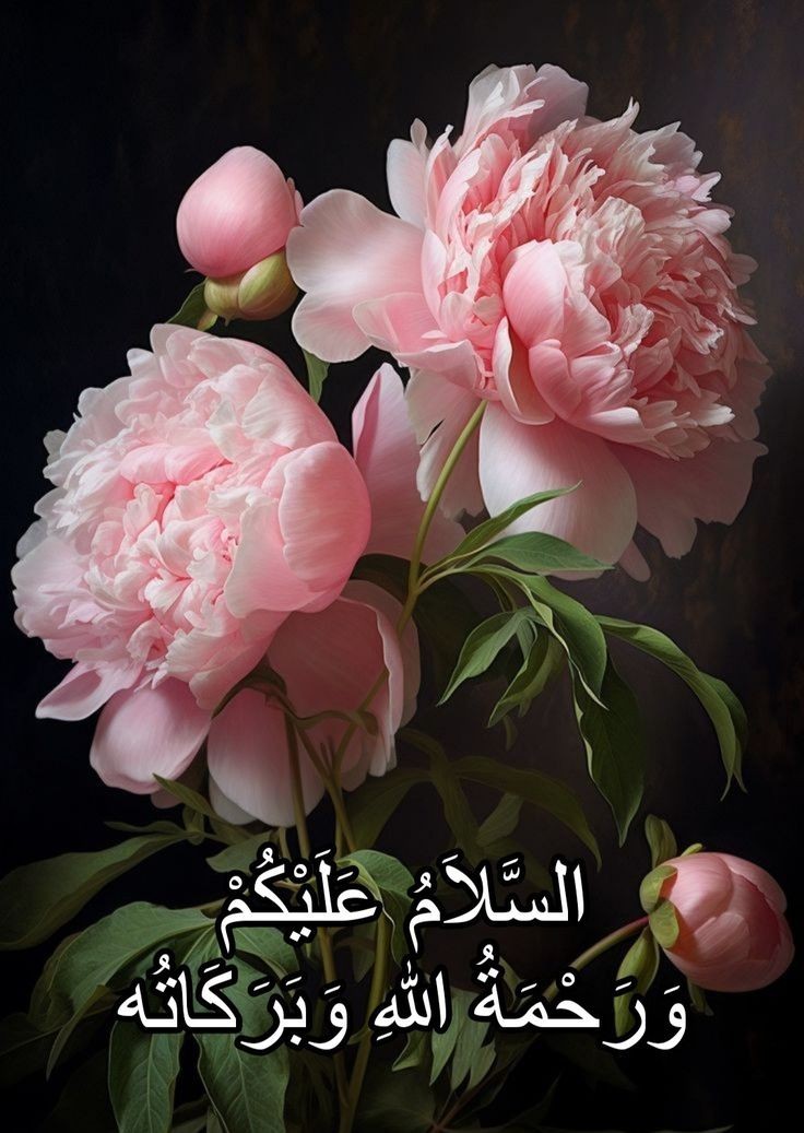 🌹ﺍَﻟﺴَّﻼَﻡُ عَلَيكُم وَرَحْمَةُ اللهِ🌹 صبح کا سلام صرف رسم نہیں بلکہ احساس فکر بھی ہے تاکہ رشتے سلامت رہیں اور یادیں باقی رہیں❤ 💚کروڑوں دعاؤں کے ساتھ آپکا آج اور ہر آنے والا دن رحمتوں و برکتوں والا ہو. اللہ رب العزت ہم سب کی حفاظت فرمائے 🤲آمین ثم آمین 🤲