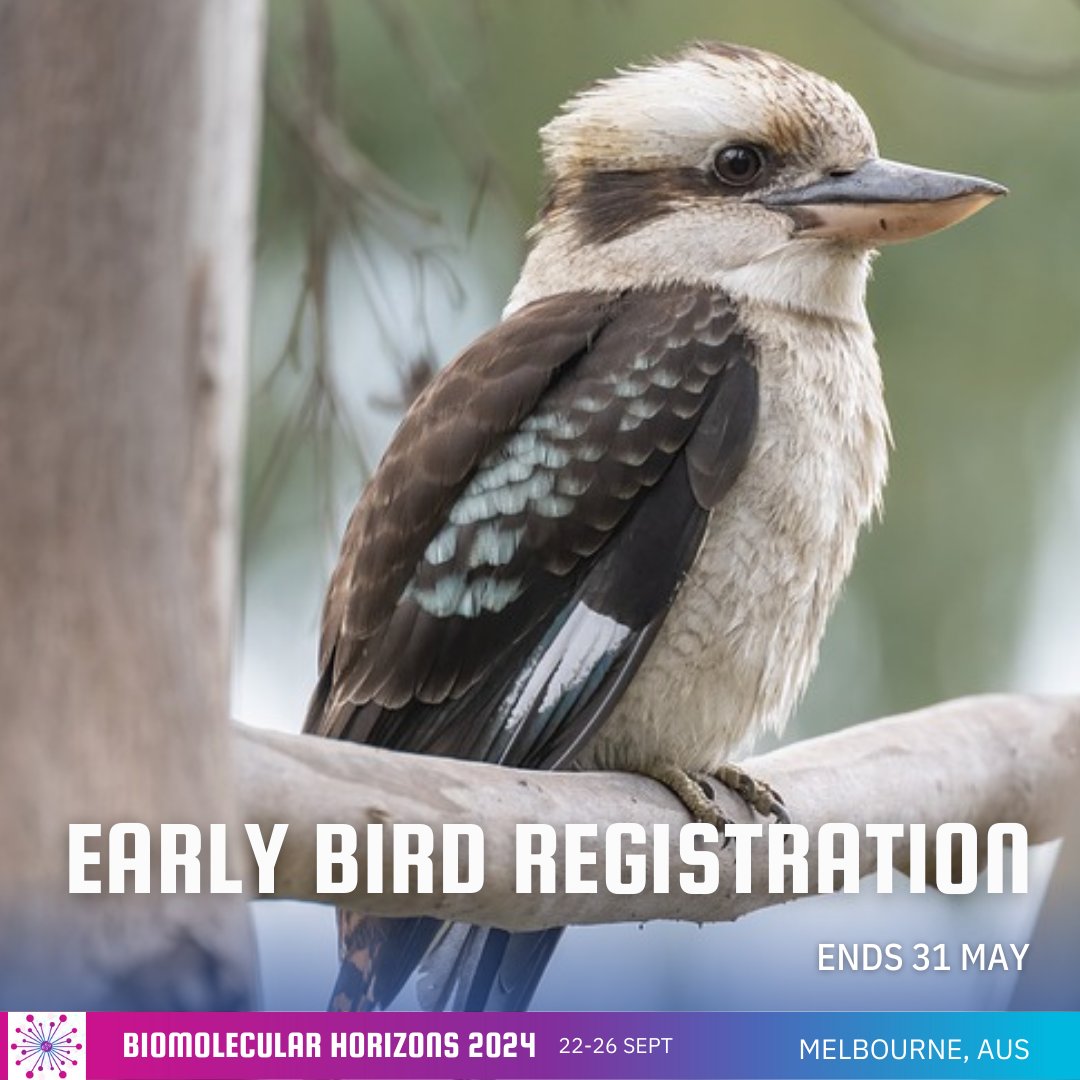 🕘 Early bird registration ends 31st May. Register this month to take advantage of discounted prices. All pricing details, including registration categories and eligibility: bmh2024.com.au Travelling into Australia? Most international guests will require a visa.