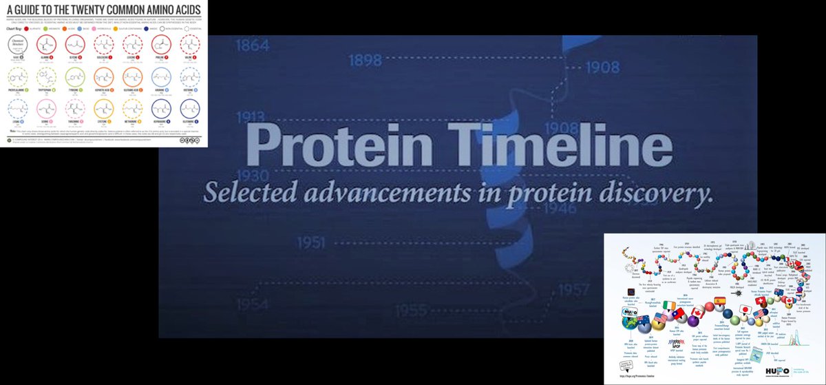 1975 | From HUPO Proteomics-Timeline bit.ly/3m3ZI9P - Hughes et al. characterise amino acid sequence of 2 enkephalin peptides using MS --- #proteomics #prot-other