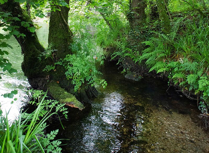 🚜 Calling #farmers & contractors If you are about to spray weeds in grassland, please think about the region's rivers & reservoirs - drops of concentrated product can pollute a small watercourse for miles. For advice: wrt.org.uk/project/ust-3-… #RiverHealth #UpstreamThinking