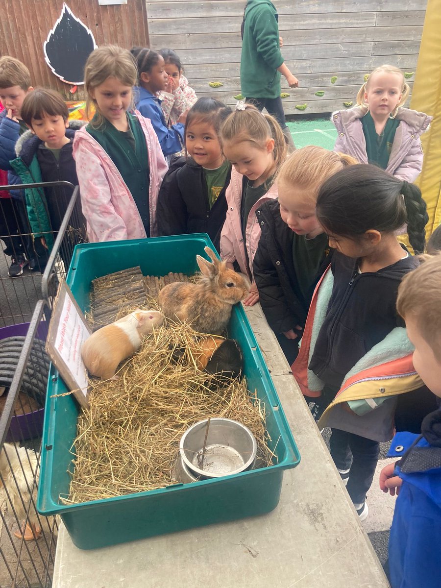 🐷Reception had such a brilliant day when the farm came to visit yesterday. The children loved stroking and brushing the animals and learnt lots of fascinating facts about our furry friends 🐰 #WeAreLeo