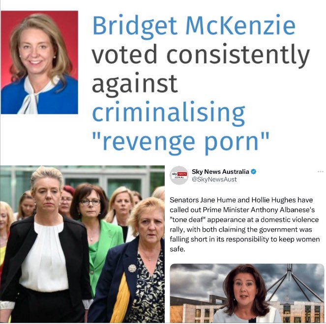 Again, the LNP Crumb Maidens engage in histrionics to try and destroy the ALP gov. Of course, if they really cared they’d support measures to protect women against violence or help develop policies to do so. Instead they keep undermining women via hypocritical political stunts