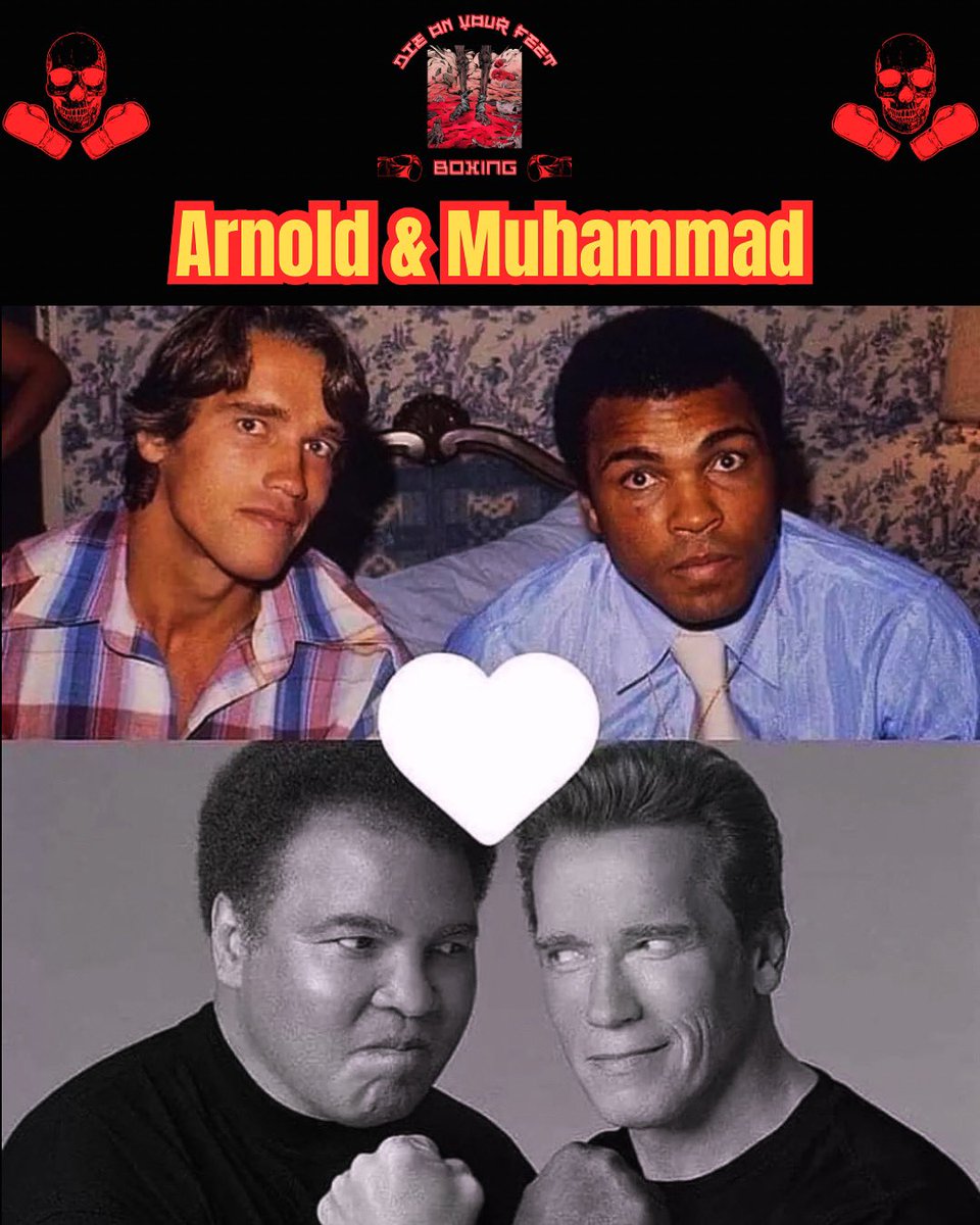 Muhammad Ali & Arnold Schwarzenegger 
Follow @die_on_yourfeet for the best in 🥊Boxing, 👊MMA,🦵Muay Thai, 🤼‍♀️Grappling, and all 🥋Combat Sports
#mma #boxing #boxinglife #boxeo #boxingvideos #knockouts #boxingday #ufc #fighter #fights #ko #boxinghype #boxingfans #knockout…