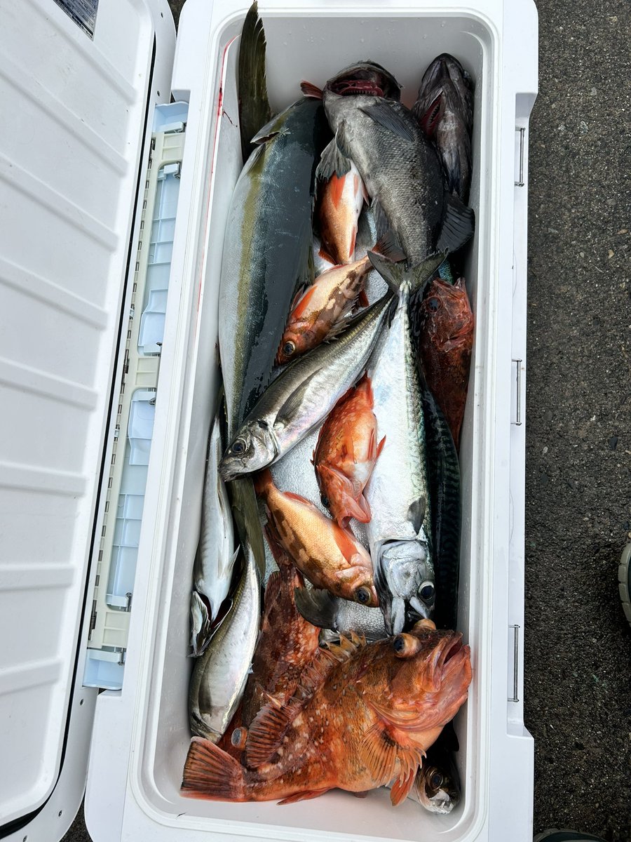 楽しかった🐟✨