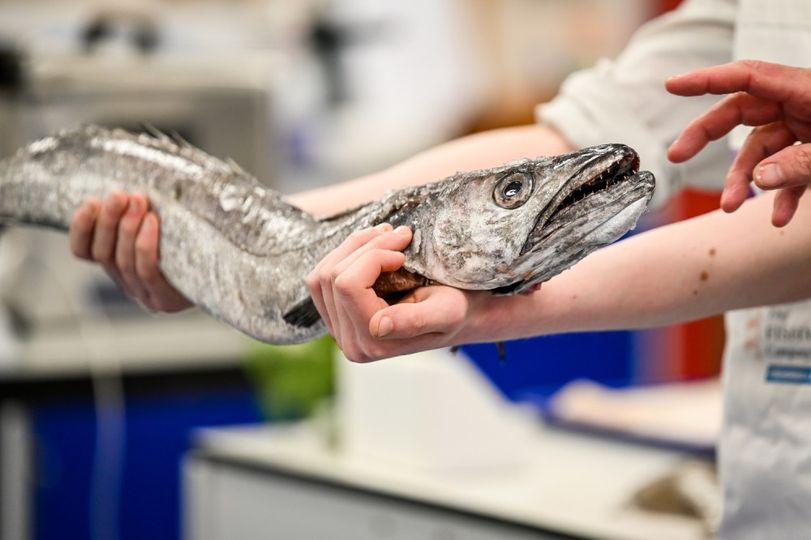 We’re really look forward to #FishHeroes teacher training in Bristol, 11 May. Join us!

🐟Learn about fish, health & sustainability
🔪Fillet fish & cook fab dishes
🧑‍🎓Get teaching ideas
😎Watch & learn!

Details at: facebook.com/groups/fishhero

@FoodTCentre @FishmongersCo